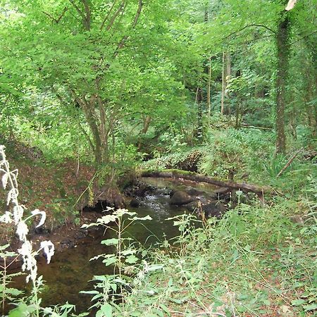 Gite La Chouette Bégard Exteriér fotografie
