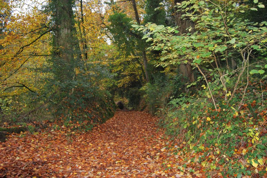 Gite La Chouette Bégard Exteriér fotografie