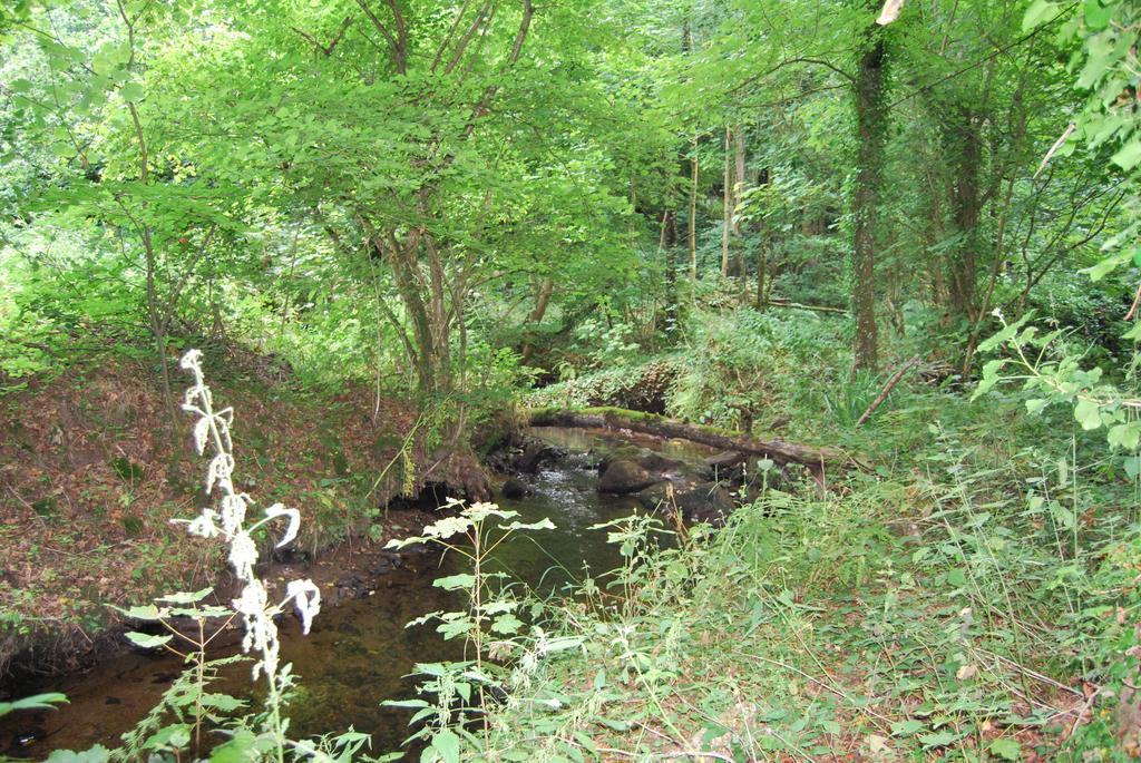 Gite La Chouette Bégard Exteriér fotografie